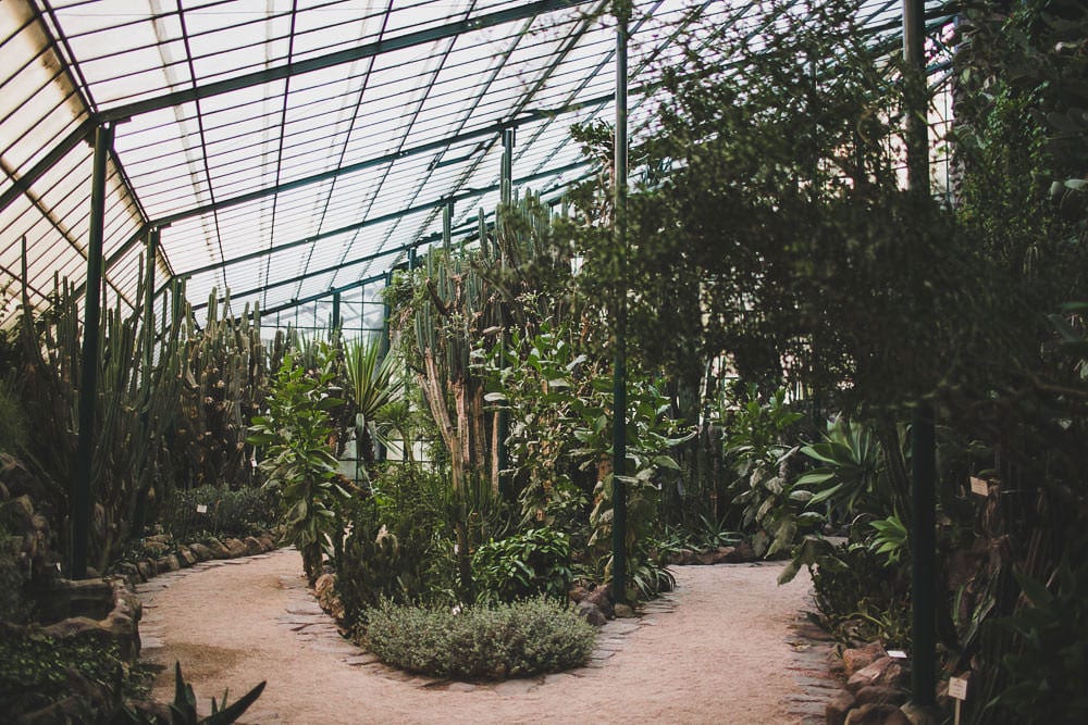 greenhouse desert in lisbon