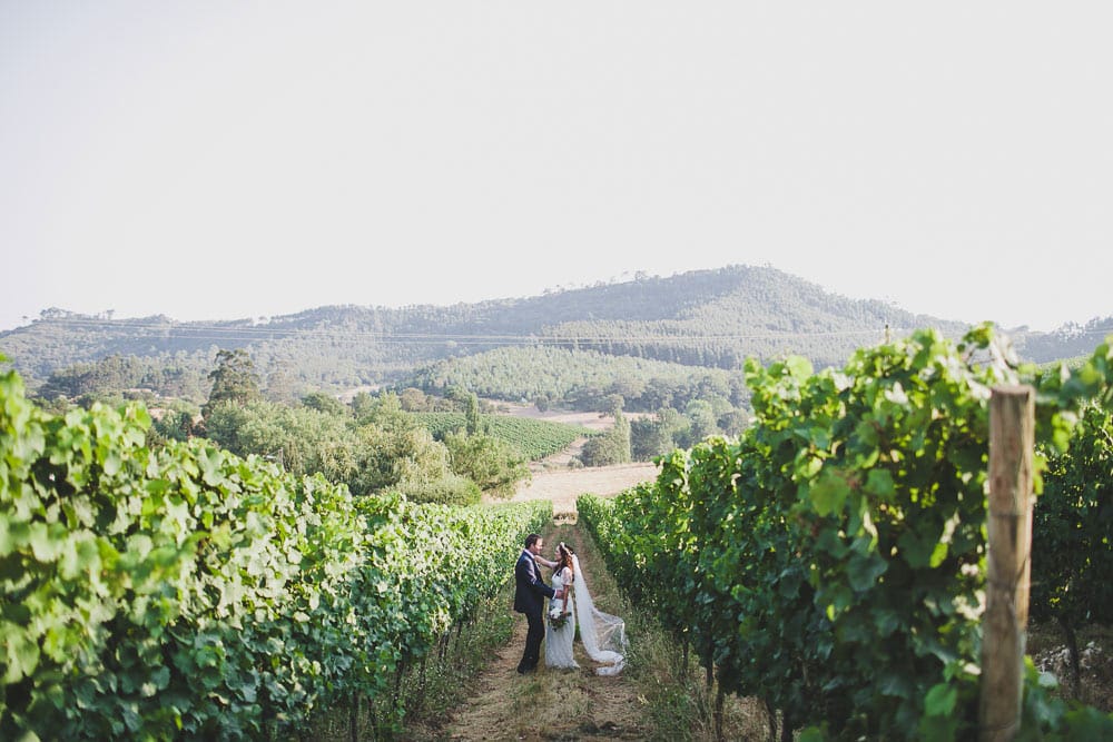 natural photography vineyard wedding in quinta santa ana