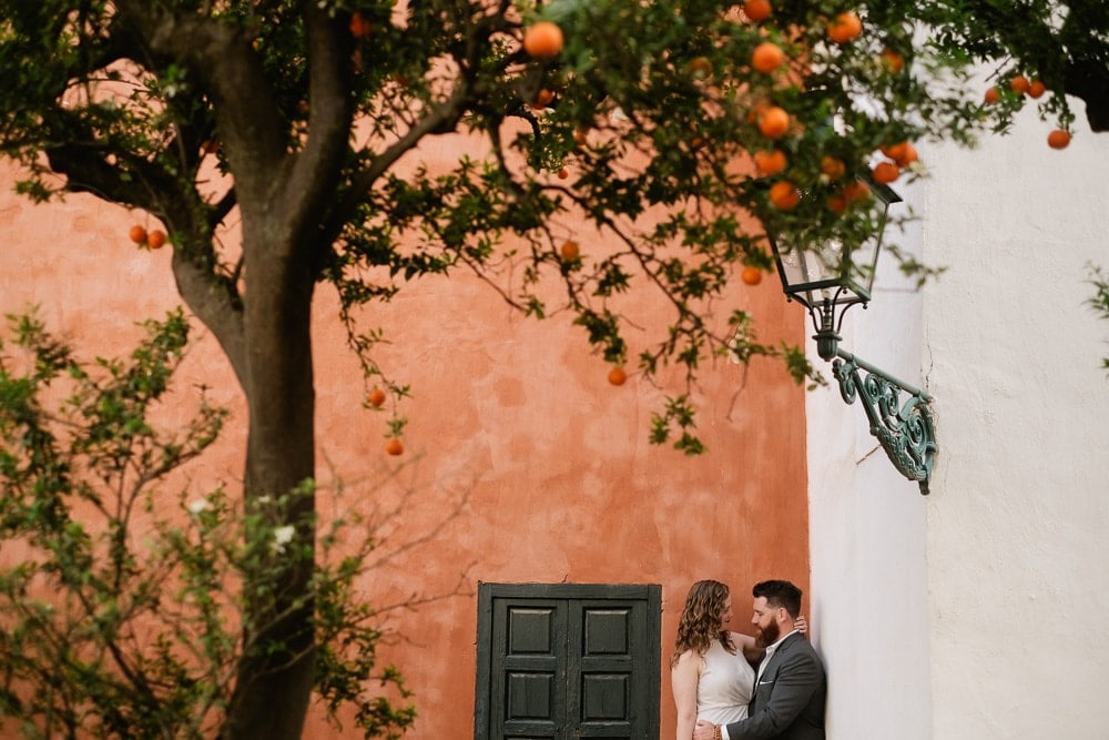 orange tree at alcazares reales palace in seville elopement photographer